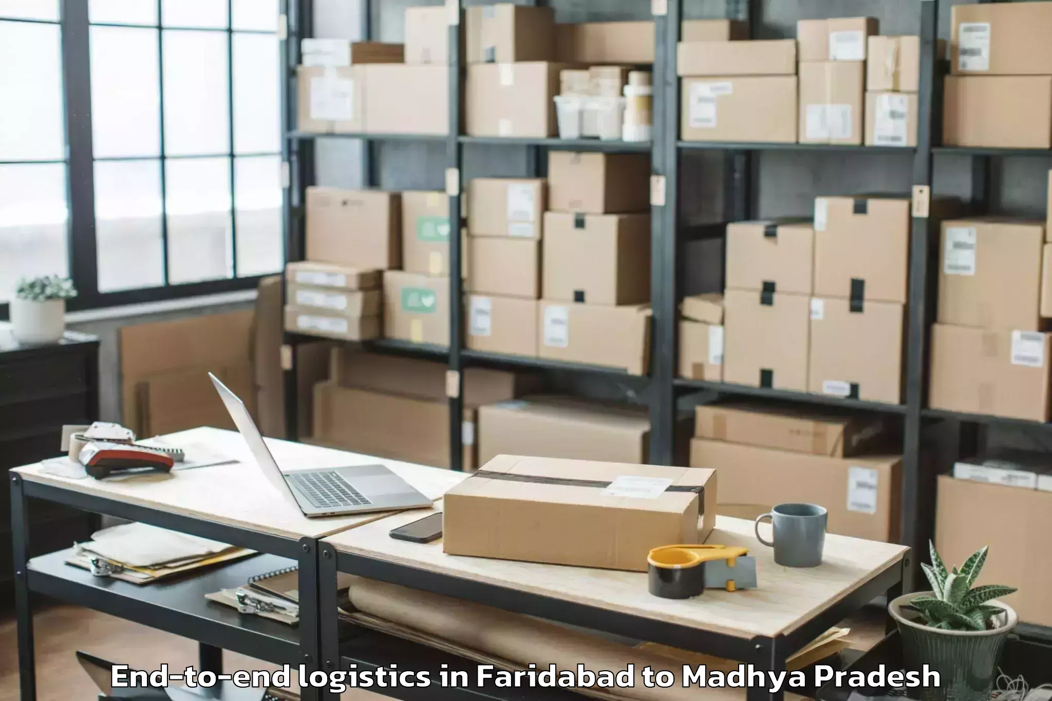 Professional Faridabad to Mandsaur End To End Logistics